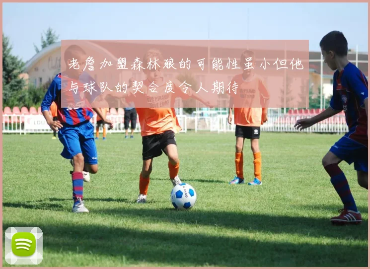 老詹加盟森林狼的可能性虽小但他与球队的契合度令人期待